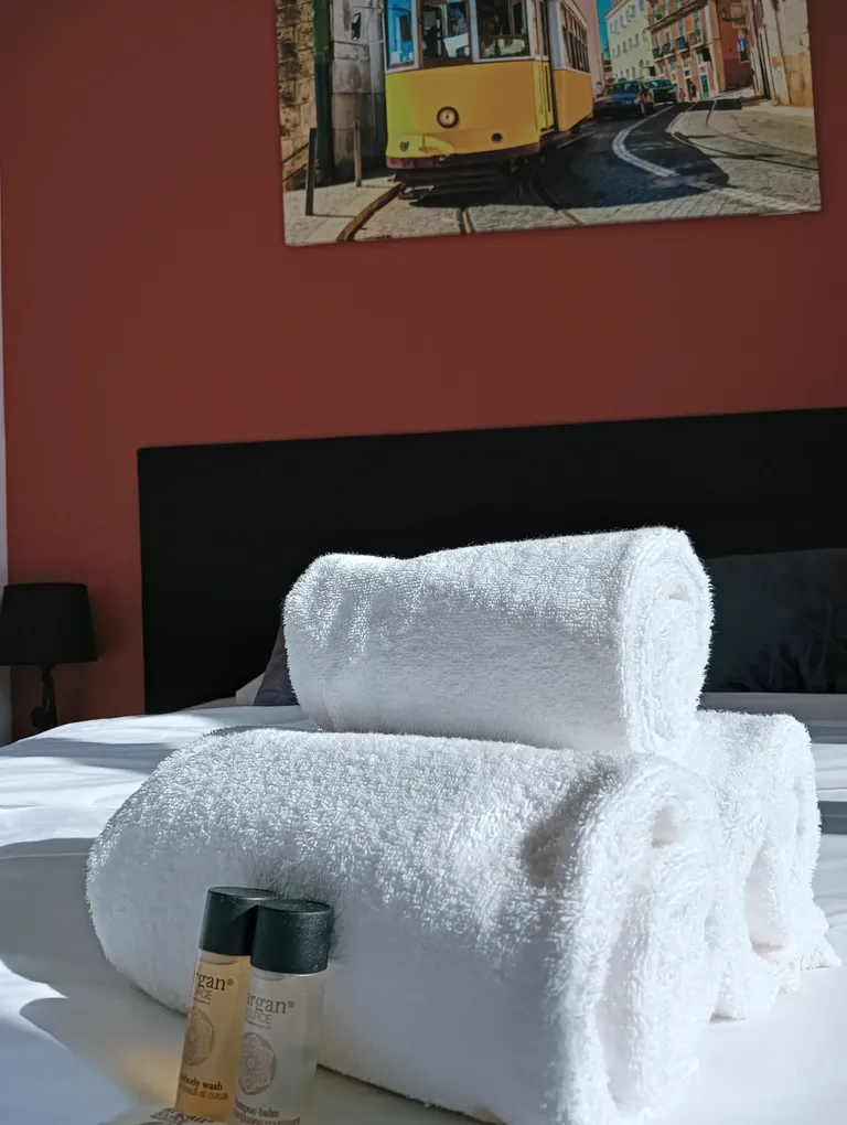 Serviettes de toilette fournies et soigneusement pliées